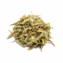 Maconha Brava (Zornia latifolia)